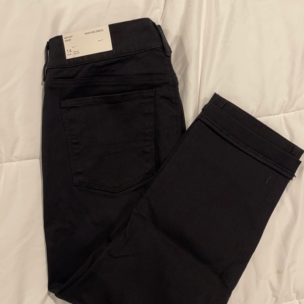 NWT American Eagle Artist Crop Jeans